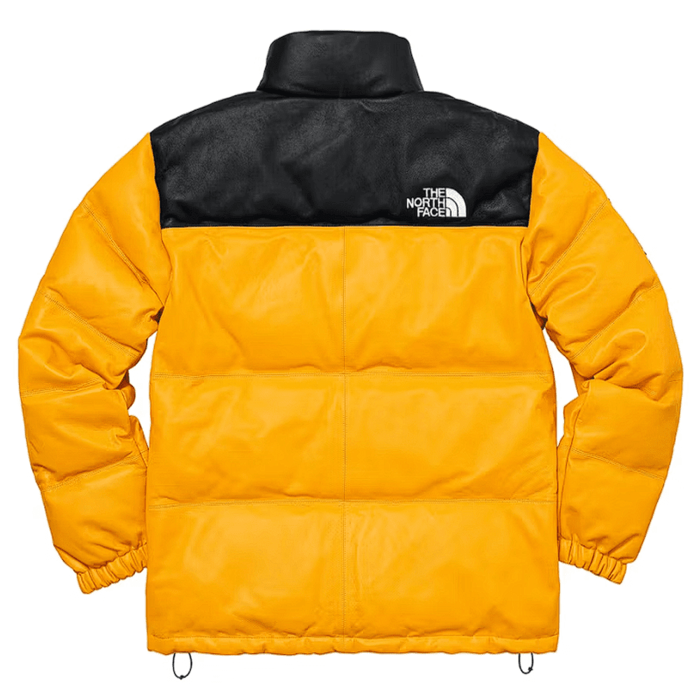 Leather nuptse 2025